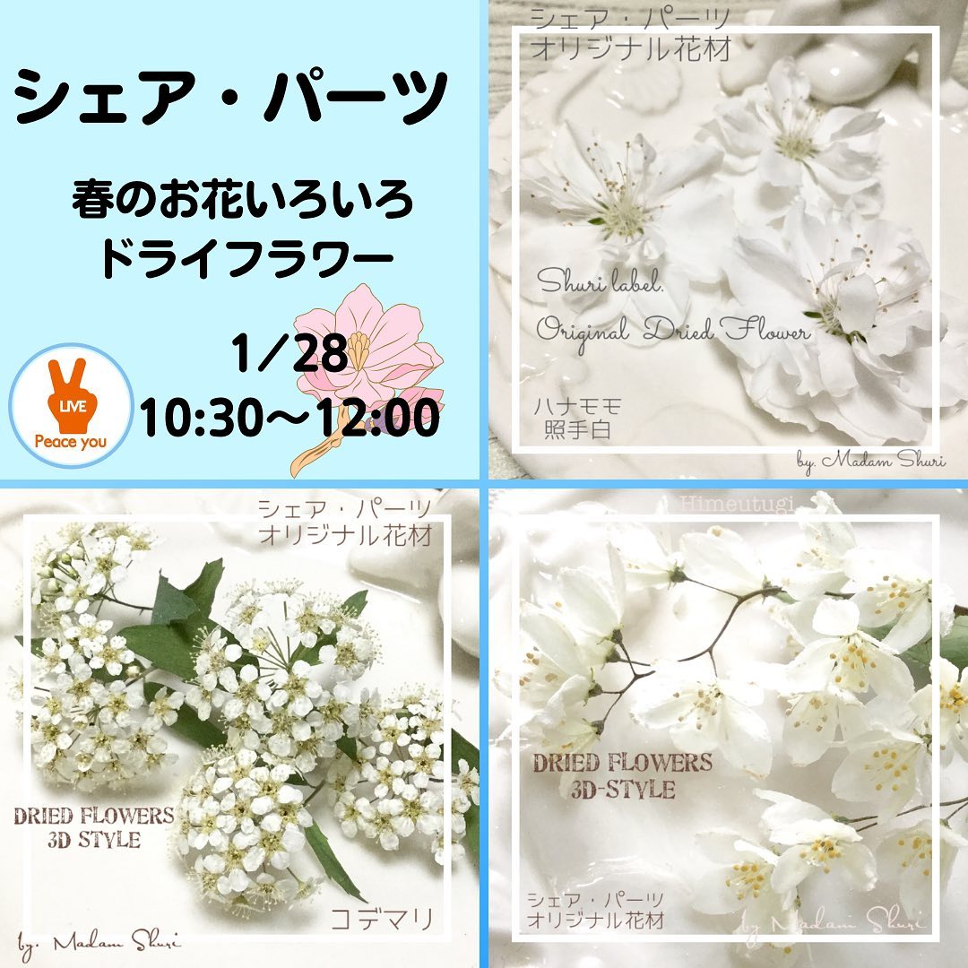 次回ライブ配信のお知らせ　今回はオリジナル花材 3D-Style  春のお花いろいろドライフラワー