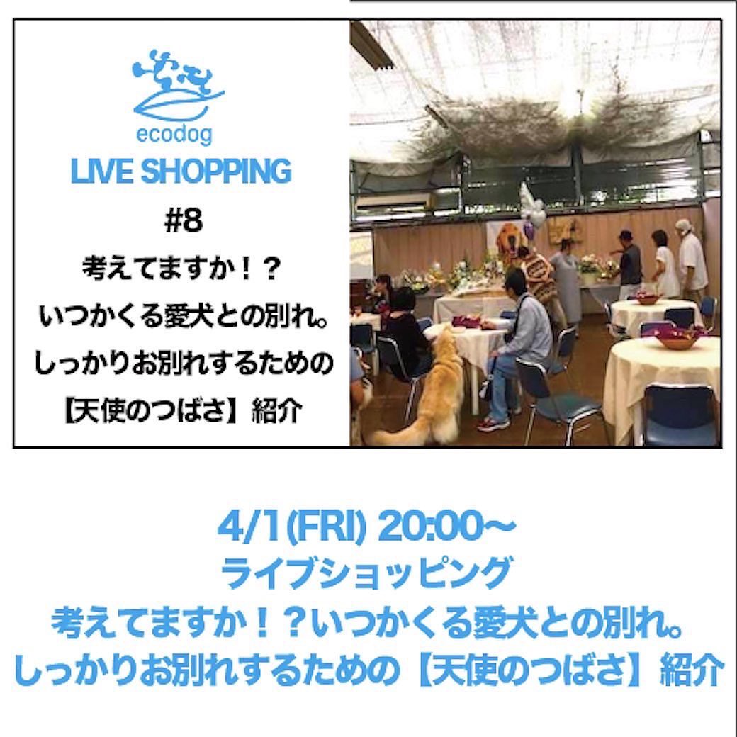 今週のキンパチライブは！