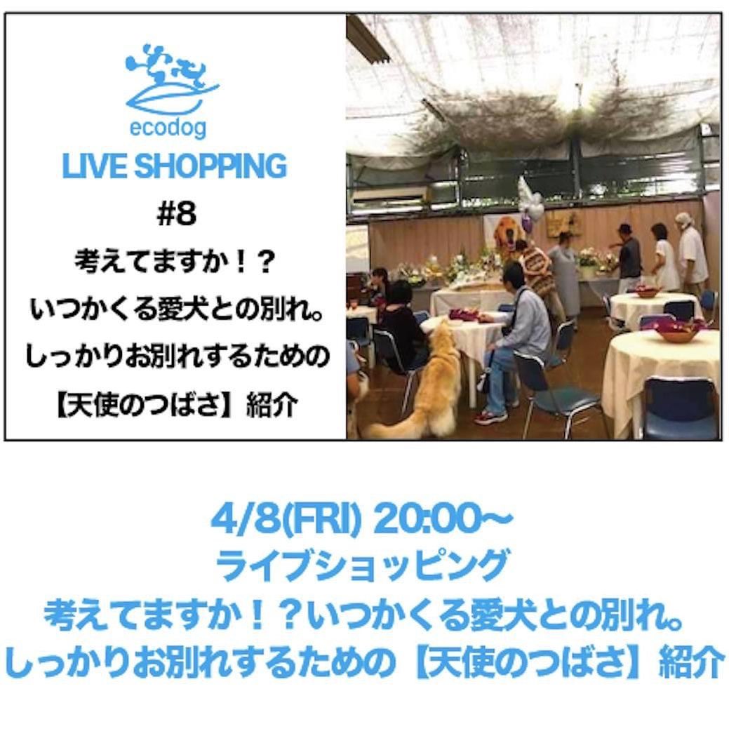考えてますか！？いつかくる愛犬との別れ。しっかりお別れするための【天使のつばさ】紹介