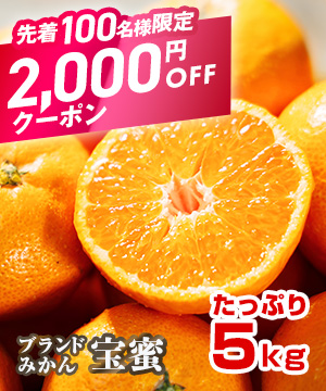 ブランドみかんがお得に買える！
