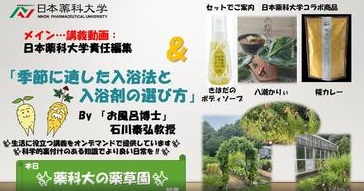 【薬草園】入浴剤に入っているのはこんな植物！ 薬科大の薬草園から配信【日本薬科大学】