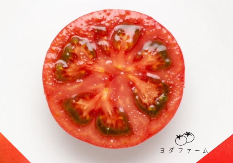 【fooveの日】今シーズン最後のヨダファームからの配信