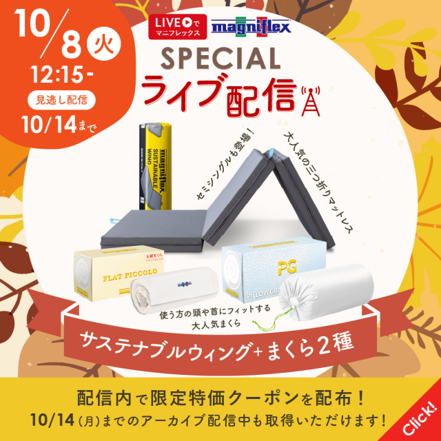第7弾 サステナブルウィングとまくら２種