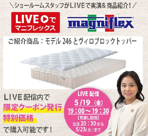 モデル246とヴィロブロックトッパー