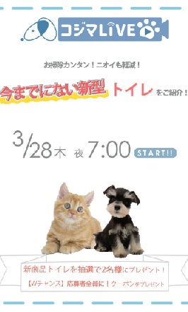新型トイレをご紹介