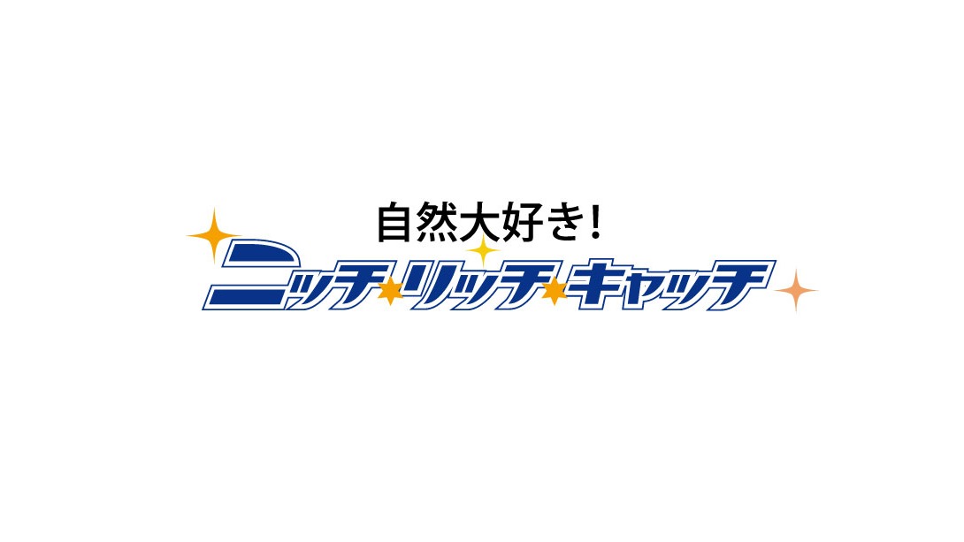メスティンの実演販売