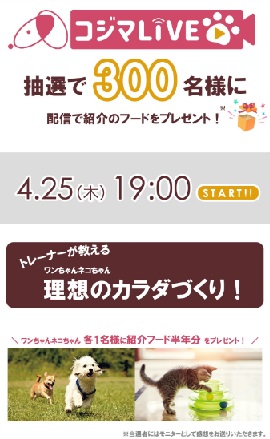 ワンちゃん・ネコちゃん　理想のカラダづくり