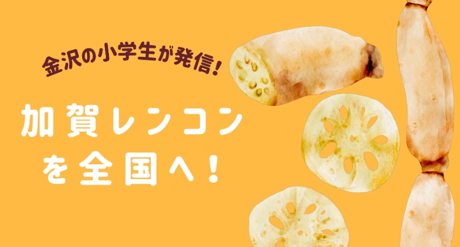 金沢の小学生が発信！加賀レンコンを全国へ！