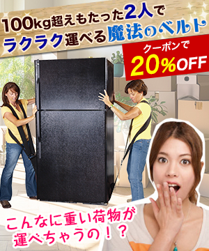 キャリーラクダ／NowLight