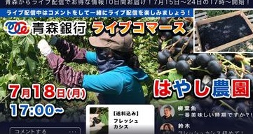 【青森銀行ライブコマース】はやし農園〜今収穫真っ最中！1番美味しい時期の究極のカシス〜