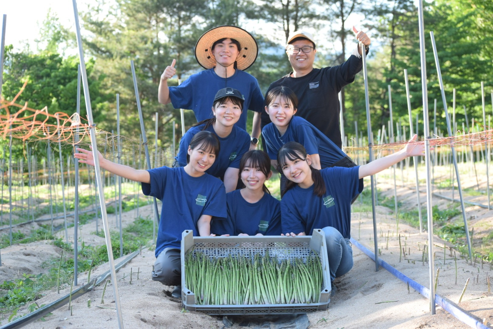 夏のアスパラ畑から生配信！生態や美味しい食べ方をご紹介します！