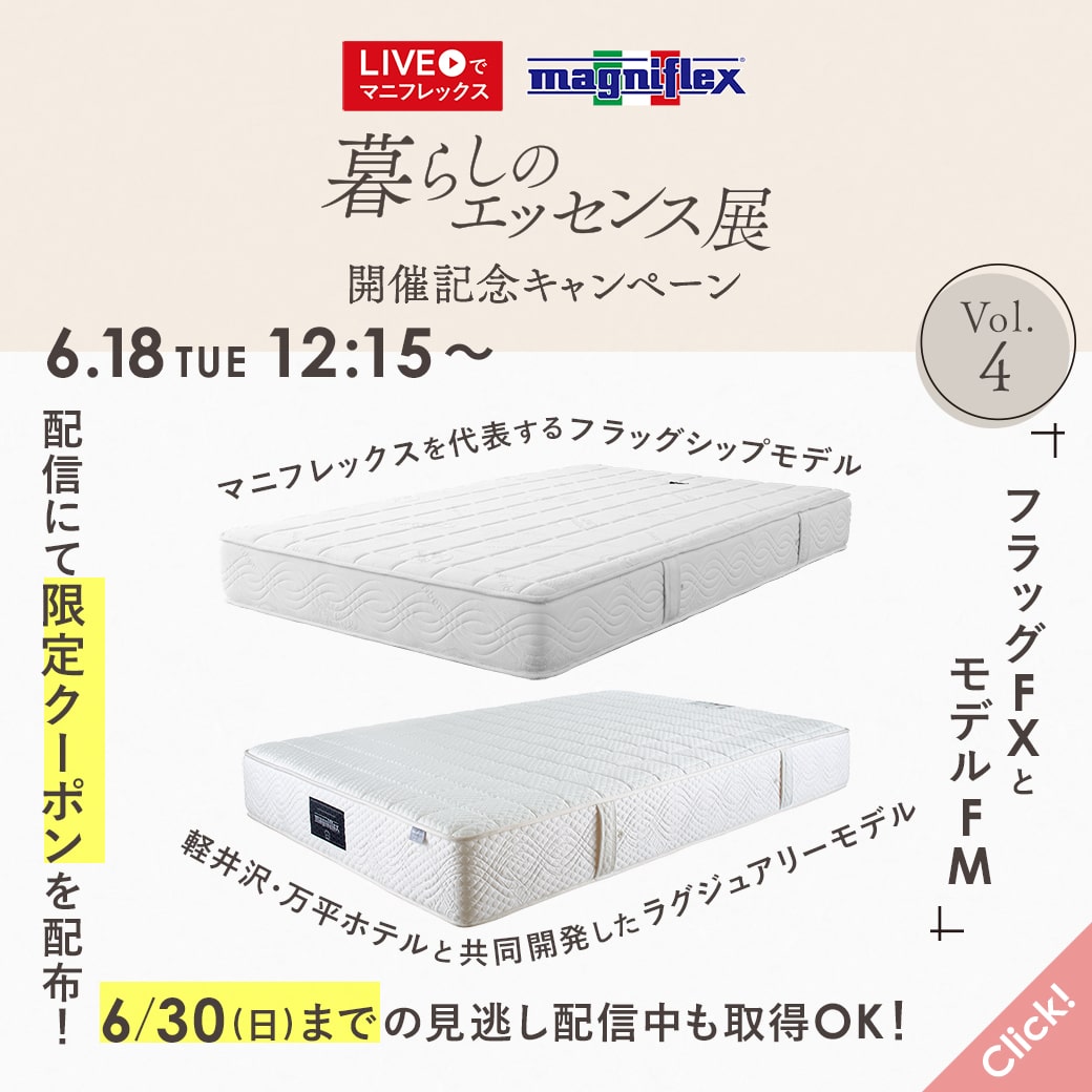 フラッグFXとモデルFM