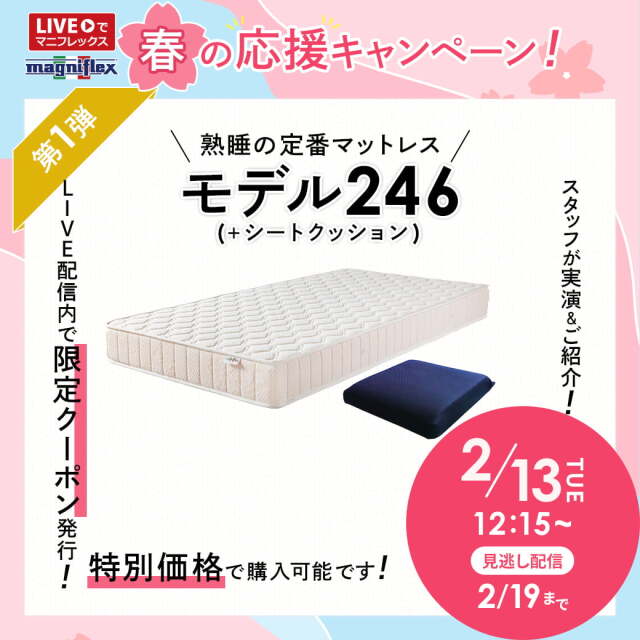 第1弾 モデル246とシートクッション