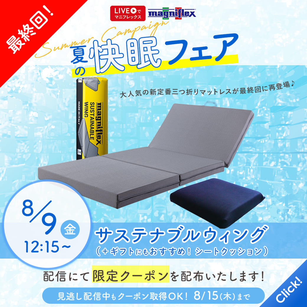 ★最終回★ 第6弾 サステナブルウィングとシートクッション