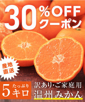 もうすぐ旬！愛媛県産訳あり温州みかんをご紹介♪