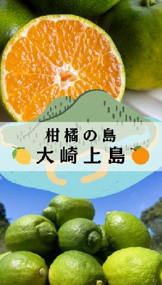 大崎上島産みかん・瀬戸内レモンのご紹介