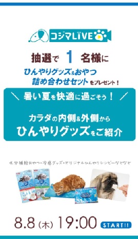 ひんやりグッズをご紹介