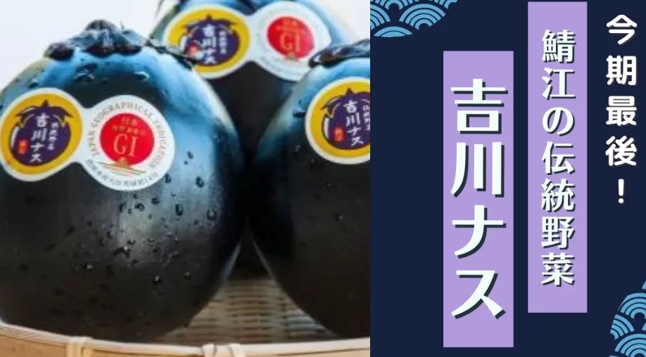 【fooveの日拡大版】1,000年の歴史をつなぐ伝統野菜　吉川ナス