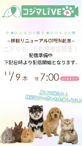 移転リニューアルオープン記念