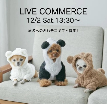 愛犬へのふわモコギフト特集！