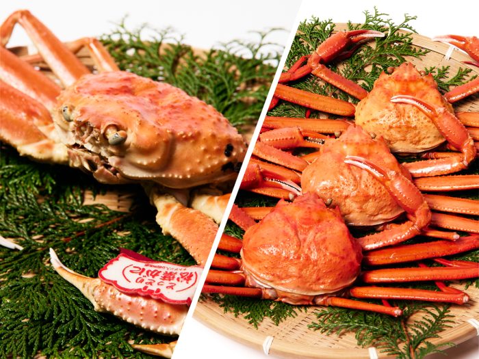シーズン到来！鳥取県・境港のカニづくし！