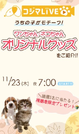 ワンちゃん・ネコちゃんオリジナルグッズをご紹介