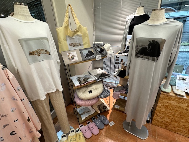 猫の日に向けて仕入れて提案したい2シリーズをご紹介。