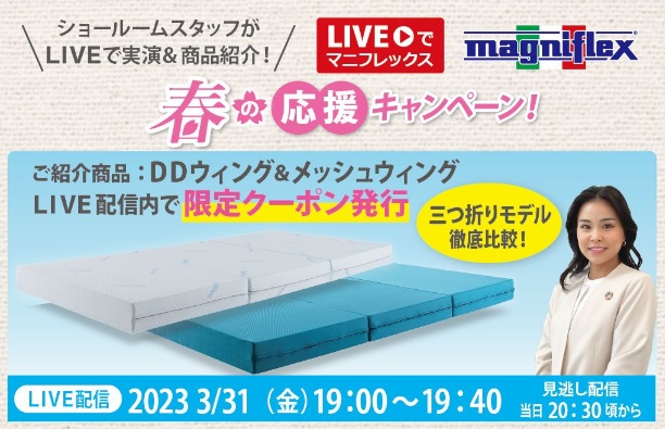 春の応援キャンペーン　DDウィング＆メッシュウィング