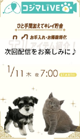 +1アイテム紹介