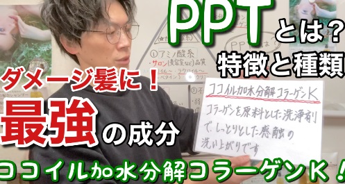傷んだ髪にピッタリのＰＰＴとは？ＰＰＴシャンプーのご紹介
