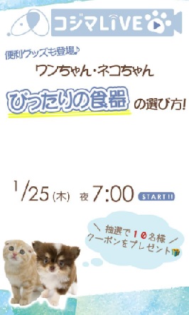 ワンちゃん・ネコちゃん　ぴったりの食器の選び方