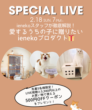 猫の日直前！愛するうちの子へ贈りたいプレゼント解説LIVE★