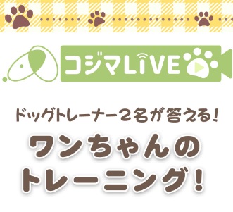 ワンちゃんのトレーニング