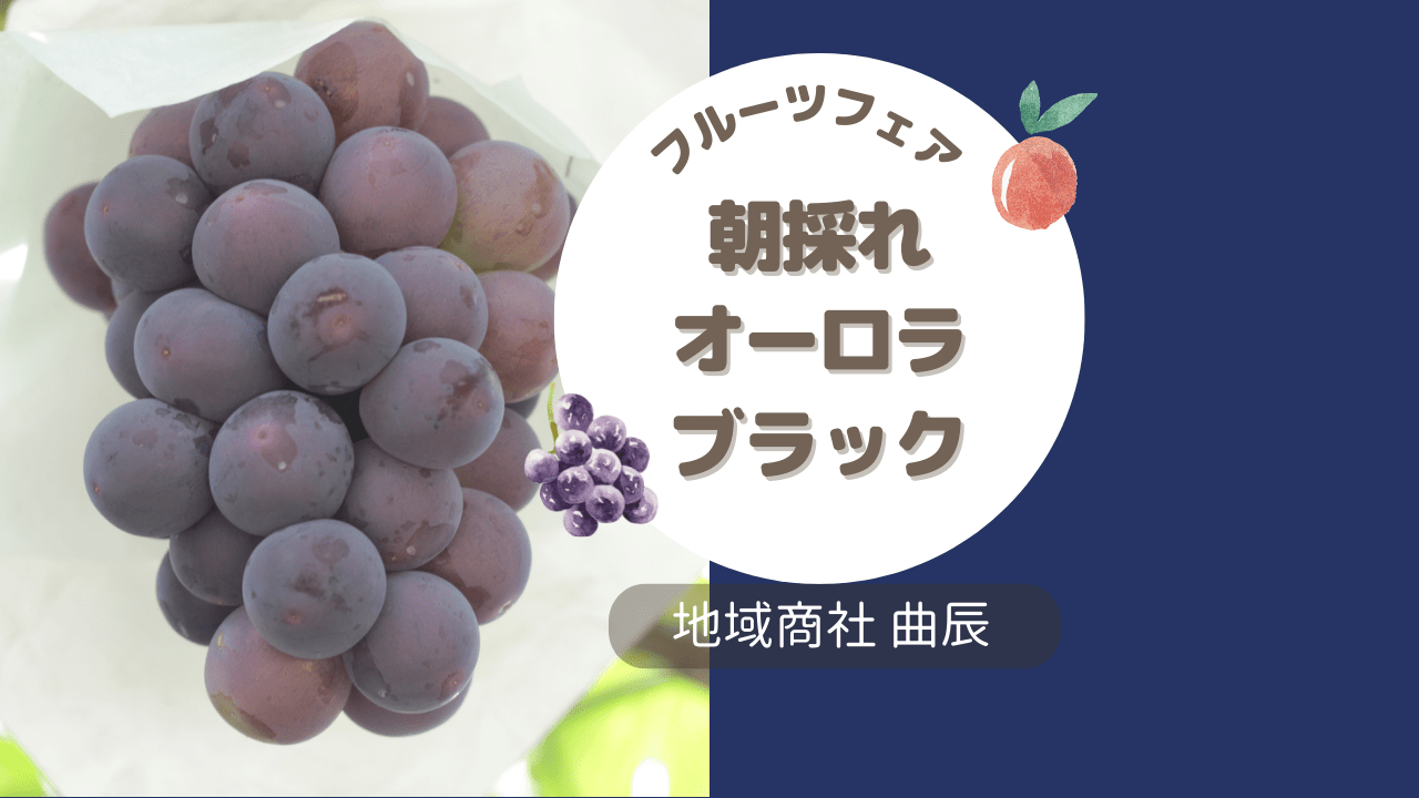 岡山の朝採れオーロラブラック