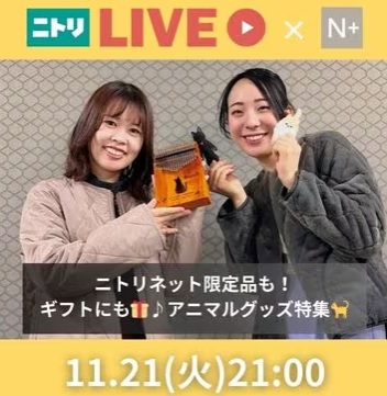 ニトリネット限定品も！ギフトにも🎁♪ニトリネット限定アニマルグッズ特集🐈