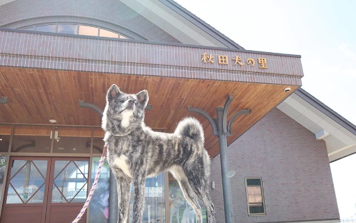 忠犬ハチ公のふるさと～秋田県大館市の魅力～