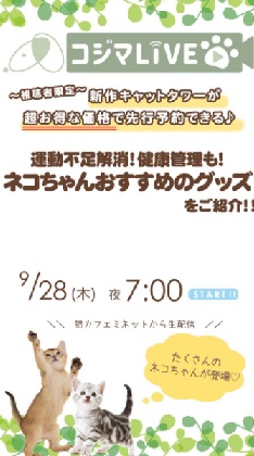 ネコちゃんおすすめグッズのご紹介