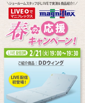 春の応援キャンペーン　DDウイング