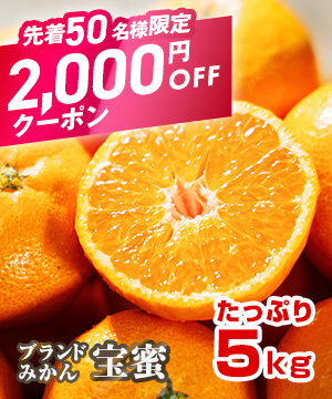 ブランドみかんがお得に買える！