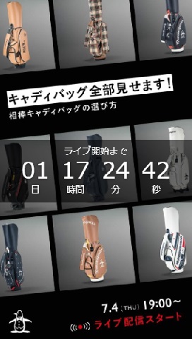 キャディーバッグの選び方