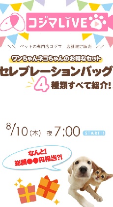 セレブレーションバッグ　4種類紹介