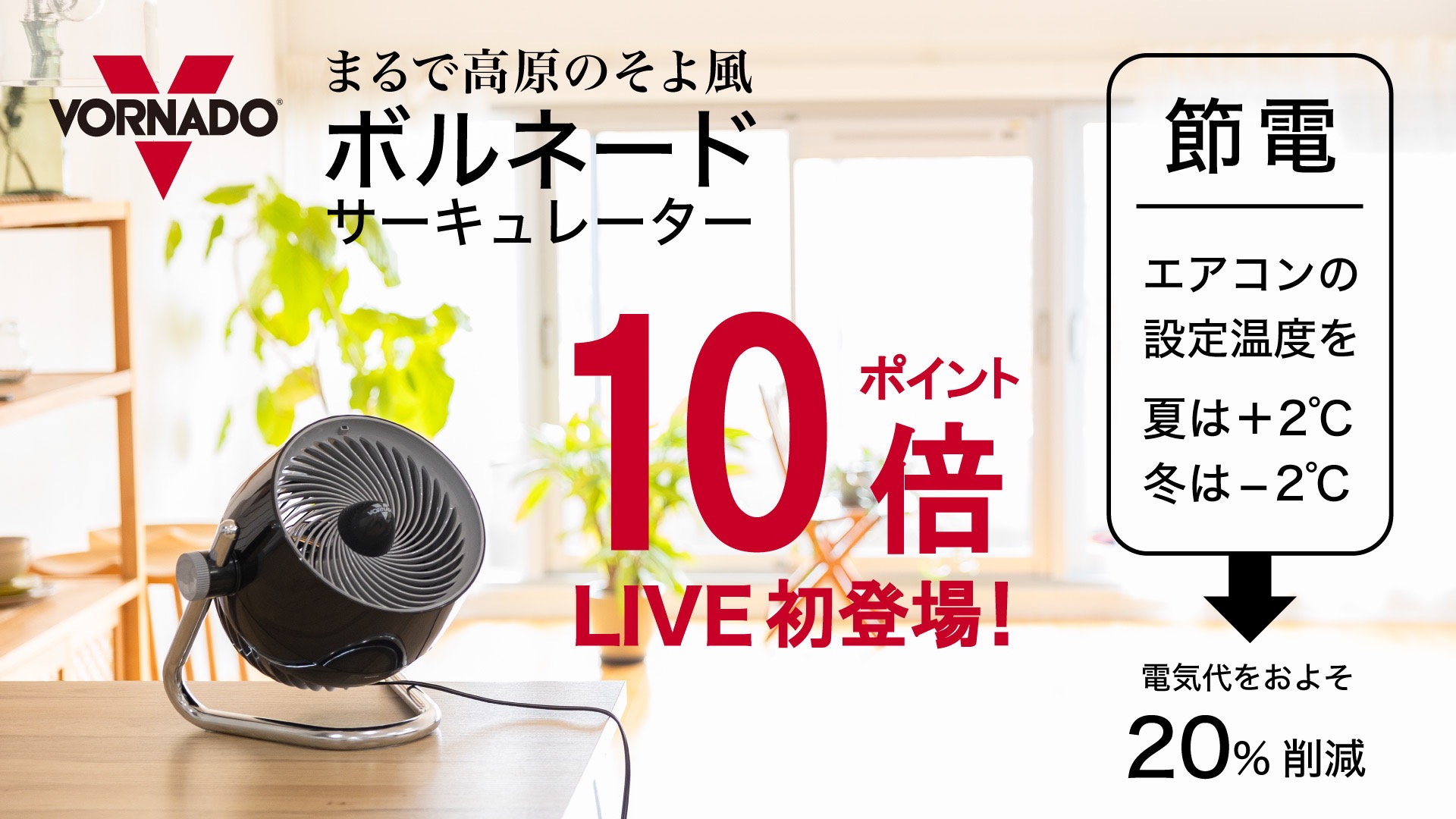 ボルネードと言えばコレ！人気商品を初ライブ