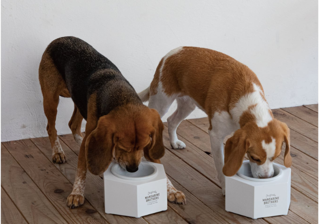 大人気のペットブランド「MANDARIN BROTHERS」の新商品をご紹介！