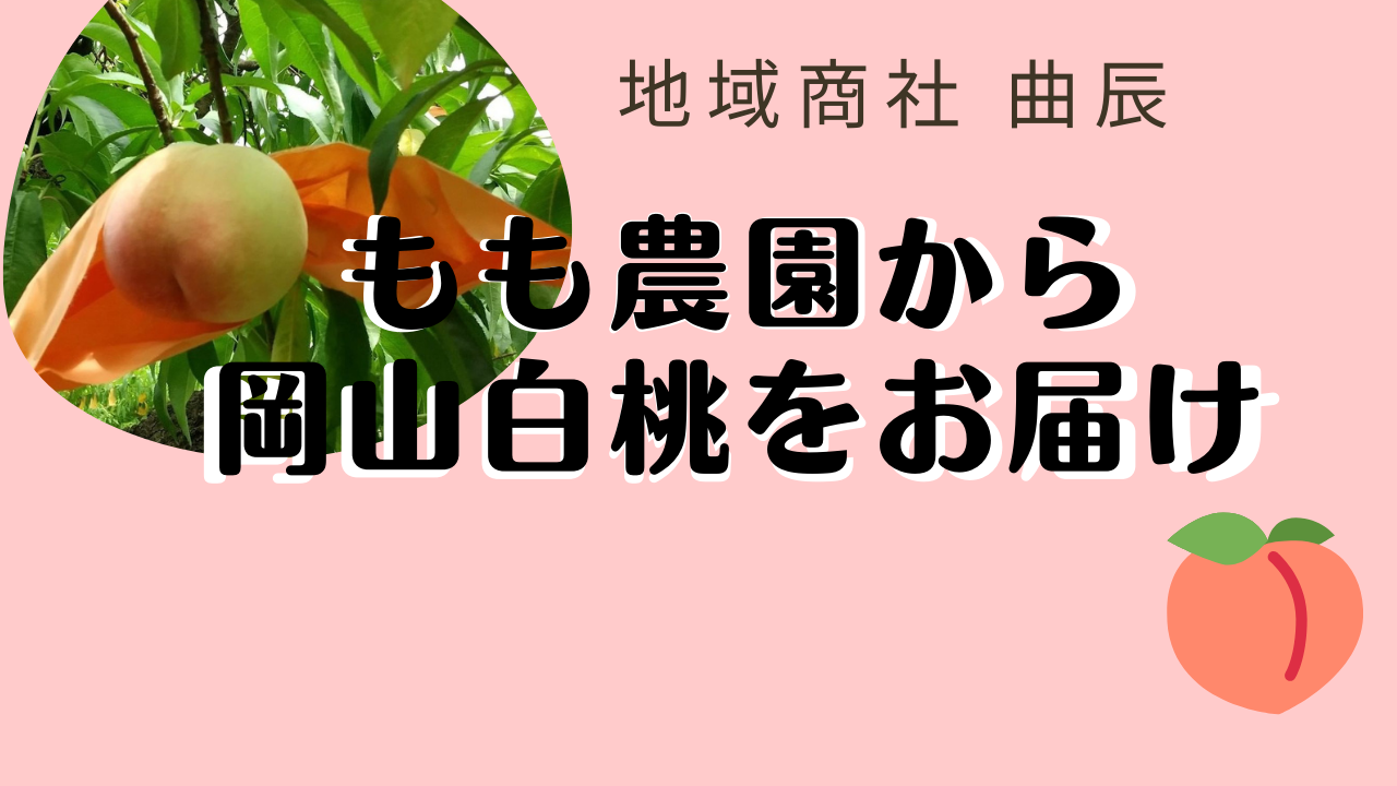 岡山県からライブ配信！きめ細やかで上品な甘さの岡山白桃をお届け！