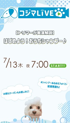 はじめよう！おうちシャンプー