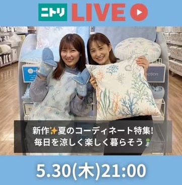 新作✨夏のコーディネート特集!毎日を涼しく楽しく暮らそう🎐