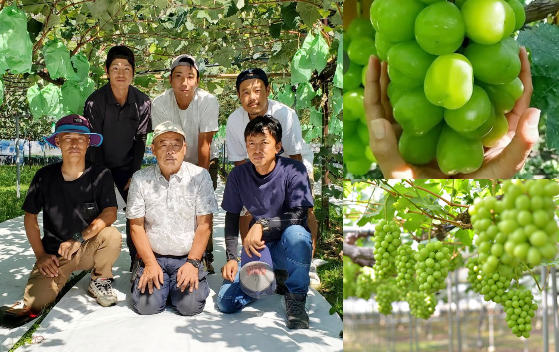 長野より産地直送～秋のフルーツもぎたて収穫祭～