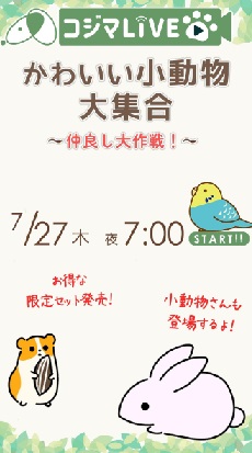 かわいい小動物大集合