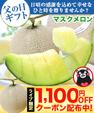 父の日ギフト★マスクメロン♪