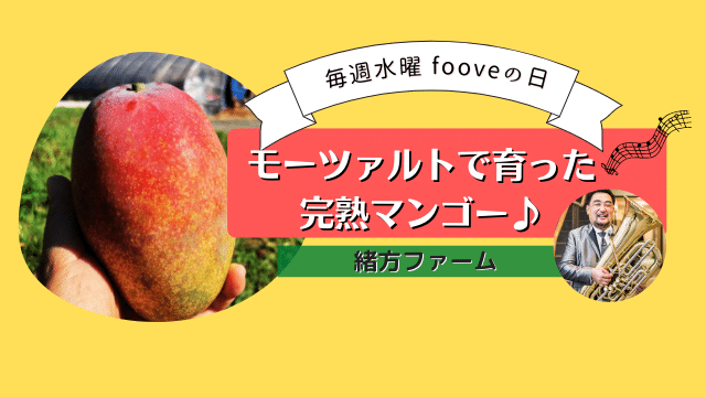 【 fooveの日】モーツァルトで育った完熟マンゴー